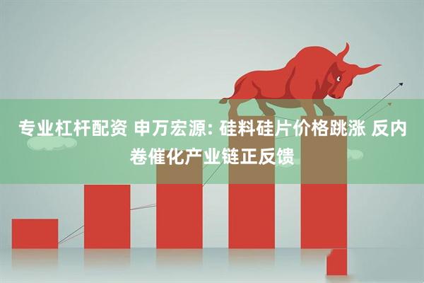 专业杠杆配资 申万宏源: 硅料硅片价格跳涨 反内卷催化产业链正反馈
