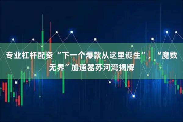 专业杠杆配资 “下一个爆款从这里诞生”，“魔数无界”加速器苏河湾揭牌